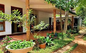 Sunbeam Homestay